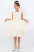 Girls Sparkling Sequin Lace Top Over Laid Tulle Skirt Flower Girl Dress 2-12